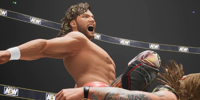 AEW Fight Forever Consoles Support