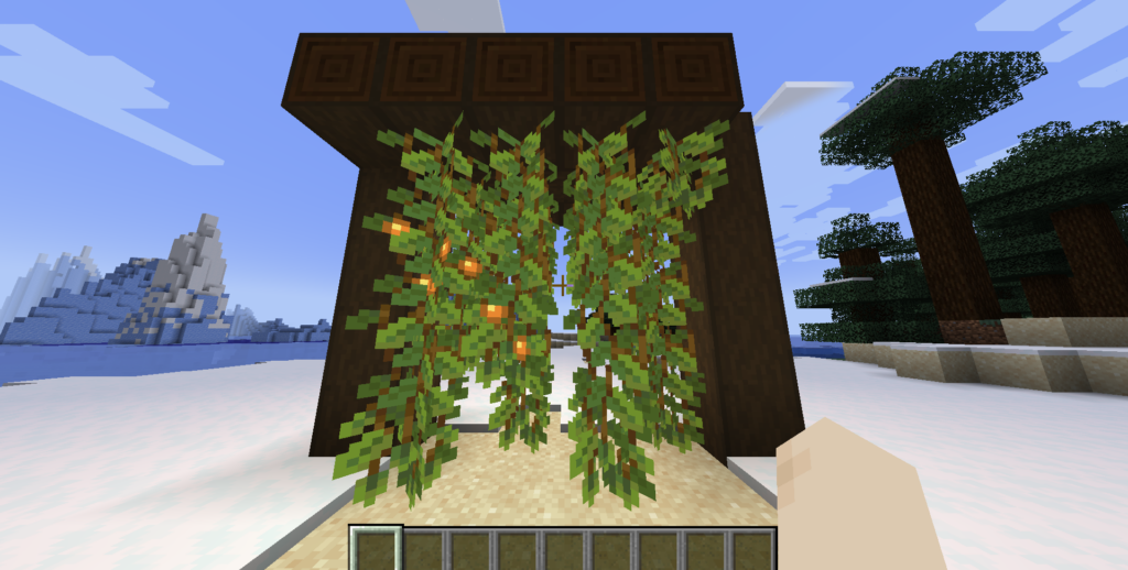 How Long Does it Take for Glow Berries in Minecraft to Grow?
