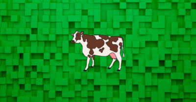 breeding cows in minecraft