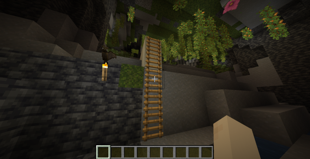 Uses of Ladder in Minecraft
