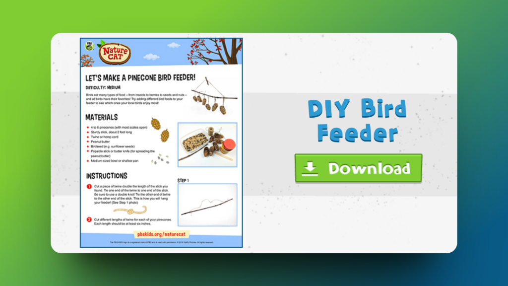 DIY-Bird-Feeder