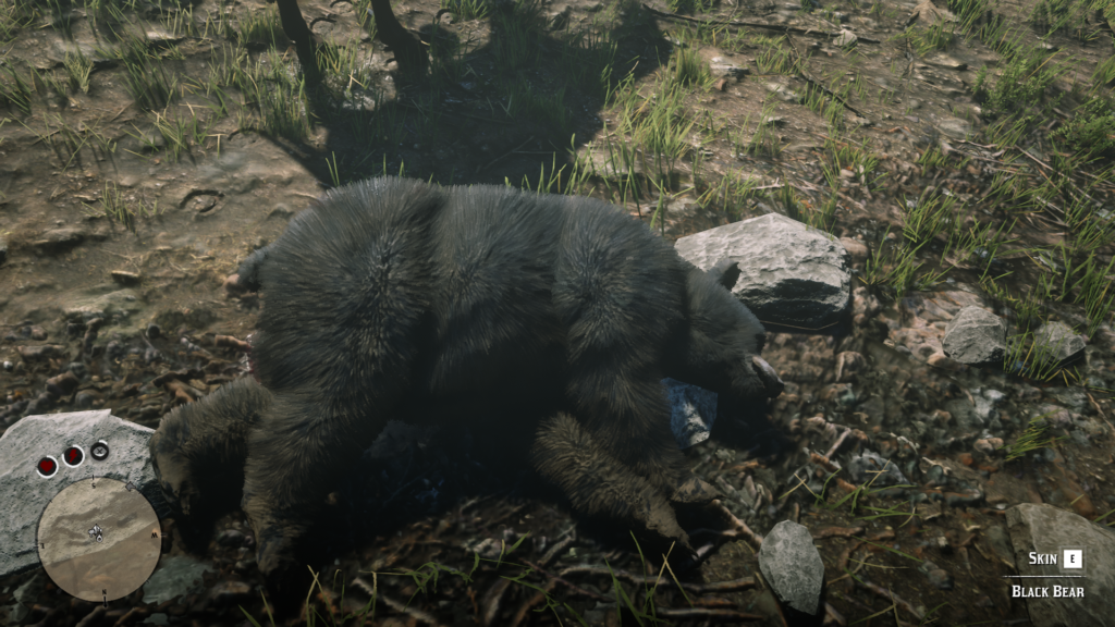 What Is the American Black Bear in RDR2?